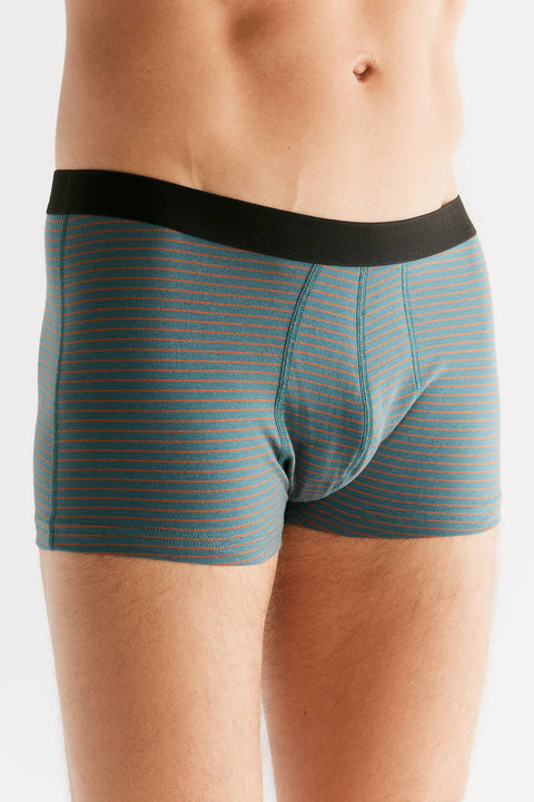 Organic Cotton Trunks: Mens