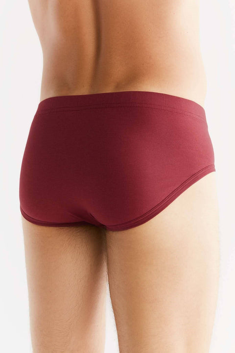 Organic Cotton Briefs: Mens