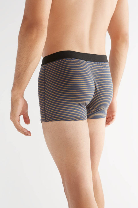 Organic Cotton Trunks: Mens