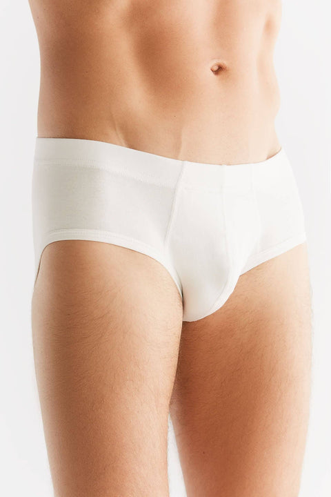 Organic Cotton Briefs: Mens