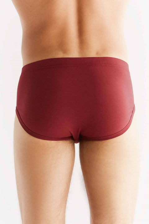 Organic Cotton Briefs: Mens